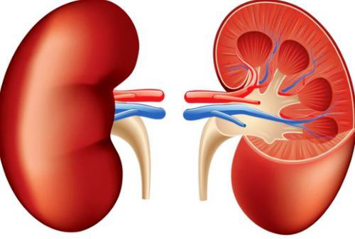 किडनी फेल्योर उपचार के लिए चेन्नई के बेस्ट डॉक्टर और अस्पताल